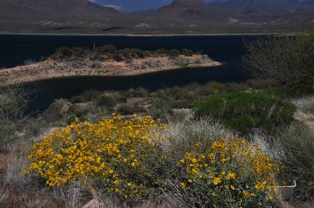 Lake Roosevelt